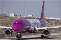 ©Daniel Santos Batista - Canary Islands Spotting. Click to see full size photo ©Daniel Santos Batista - Canary Islands Spotting. Click to see full size photo