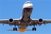 Saimon J Rodriguez   -   Canary Islands Spotting. Click to see full size photo