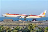 ©Adolfo Bento - Gran Canaria Spotters. Click to see full size photo ©Adolfo Bento - Gran Canaria Spotters. Click to see full size photo