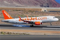 Miguel A. gueda Rguez.  (CANARY ISLANDS SPOTTING). Click to see full size photo