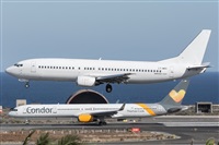 ©Adolfo Bento - Gran Canaria Spotters. Click to see full size photo ©Adolfo Bento - Gran Canaria Spotters. Click to see full size photo