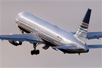 Javier de la Cruz - CANARY ISLANDS SPOTTING. Click to see full size photo