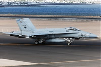 Florencio Martn Melin - Lanzarote Spotters. Click to see full size photo