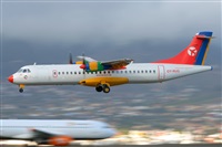 Miguel A. gueda Rguez.  (CANARY ISLANDS SPOTTING). Click to see full size photo
