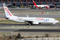 ©Alfonso Solís - Asociación Canary Islands Spotting. Click to see full size photo ©Alfonso Solís - Asociación Canary Islands Spotting. Click to see full size photo