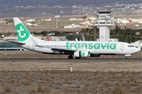 ©Alfonso Solís - Asociación Canary Islands Spotting. Click to see full size photo ©Alfonso Solís - Asociación Canary Islands Spotting. Click to see full size photo