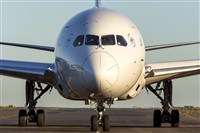 Daniel Santos Batista - Canary Islands Spotting. Click to see full size photo