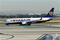 Nacho Rodriguez - Canary Islands Spotting. Click to see full size photo