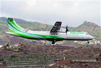 ©Luis Rguez - La Palma Spotting. Click to see full size photo ©Luis Rguez - La Palma Spotting. Click to see full size photo