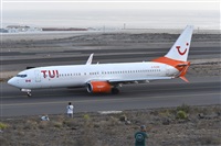 Miguel A. gueda Rguez.  (CANARY ISLANDS SPOTTING). Click to see full size photo