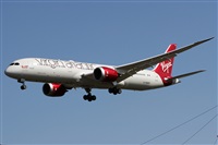 Alfonso Sols - Asociacin Canary Islands Spotting. Click to see full size photo