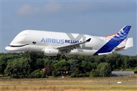 Miguel A. gueda Rguez.  (CANARY ISLANDS SPOTTING). Haz click para ampliar