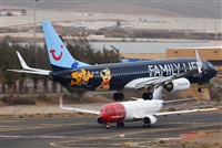 ©J. Victor Vega-Gran Canaria Spotters. Click to see full size photo ©J. Victor Vega-Gran Canaria Spotters. Click to see full size photo