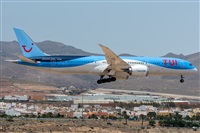 ©Adolfo Bento - Gran Canaria Spotters. Click to see full size photo ©Adolfo Bento - Gran Canaria Spotters. Click to see full size photo