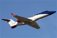Alfonso Sols - Asociacin Canary Islands Spotting. Haz click para ampliar