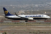 Alfonso Sols - Asociacin Canary Islands Spotting. Click to see full size photo