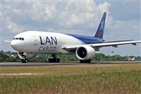 Fabio Duarte - Manaus Spotting Team. Click to see full size photo