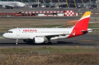 Alfonso Sols - Asociacin Canary Islands Spotting. Haz click para ampliar