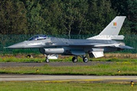 Tams. Click to see full size photo