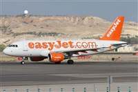 ©Alfonso Solís - Asociación Canary Islands Spotting. Click to see full size photo ©Alfonso Solís - Asociación Canary Islands Spotting. Click to see full size photo