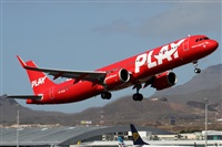 Alfonso Sols - Asociacin Canary Islands Spotting. Click to see full size photo