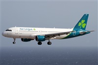 Alfonso Sols - Asociacin Canary Islands Spotting. Click to see full size photo