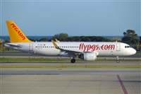 Miguel A. gueda Rguez.  (CANARY ISLANDS SPOTTING). Haz click para ampliar