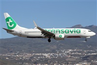 ©Alfonso Solís - Asociación Canary Islands Spotting. Click to see full size photo ©Alfonso Solís - Asociación Canary Islands Spotting. Click to see full size photo