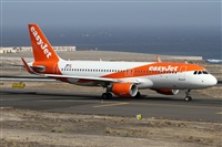 Alfonso Sols - Asociacin Canary Islands Spotting. Haz click para ampliar