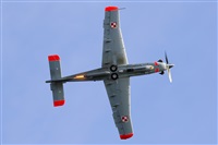 Andrzej Rejter. Click to see full size photo