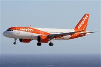 Alfonso Sols - Asociacin Canary Islands Spotting. Haz click para ampliar