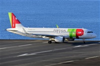 Miguel A. gueda Rguez.  (CANARY ISLANDS SPOTTING). Click to see full size photo