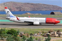 Miguel A. gueda Rguez.  (CANARY ISLANDS SPOTTING). Click to see full size photo