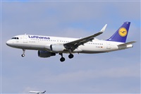 Miguel A. gueda Rguez.  (CANARY ISLANDS SPOTTING). Click to see full size photo