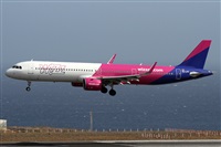 ©Alfonso Solís - Asociación Canary Islands Spotting. Click to see full size photo ©Alfonso Solís - Asociación Canary Islands Spotting. Click to see full size photo