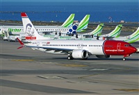 Alejandro H.L - Gran Canaria Spotters. Click to see full size photo