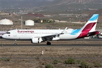 Alfonso Sols - Asociacin Canary Islands Spotting. Click to see full size photo
