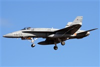Alfonso Sols - Asociacin Canary Islands Spotting. Click to see full size photo