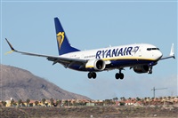 Alfonso Sols - Asociacin Canary Islands Spotting. Haz click para ampliar