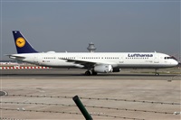 Alfonso Sols - Asociacin Canary Islands Spotting. Haz click para ampliar