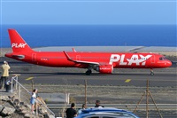 Miguel A. gueda Rguez.  (CANARY ISLANDS SPOTTING). Click to see full size photo