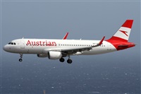Alfonso Sols - Asociacin Canary Islands Spotting. Click to see full size photo