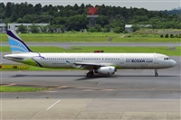Miguel A. gueda Rguez.  (CANARY ISLANDS SPOTTING). Click to see full size photo