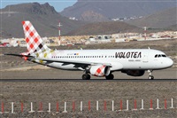 ©Alfonso Solís - Asociación Canary Islands Spotting. Click to see full size photo ©Alfonso Solís - Asociación Canary Islands Spotting. Click to see full size photo