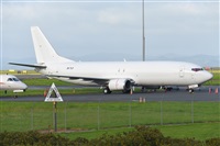 �Miguel A. �gueda Rguez.  (CANARY ISLANDS SPOTTING). Click to see full size photo