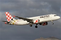 �Alfonso Sol�s - Asociaci�n Canary Islands Spotting. Click to see full size photo