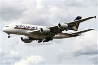 �Alfonso Sol�s - Asociaci�n Canary Islands Spotting. Click to see full size photo