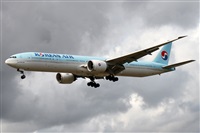 �Alfonso Sol�s - Asociaci�n Canary Islands Spotting. Click to see full size photo