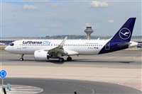 �Miguel A. �gueda Rguez.  (CANARY ISLANDS SPOTTING). Click to see full size photo