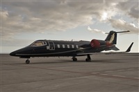 Javier de la Cruz - CANARY ISLANDS SPOTTING. Click to see full size photo